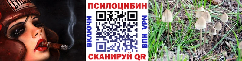 Псилоцибиновые грибы Magic Shrooms  дарнет шоп  Сосновка 